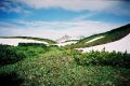 Beginning of August to the plateau of volcano Gorely